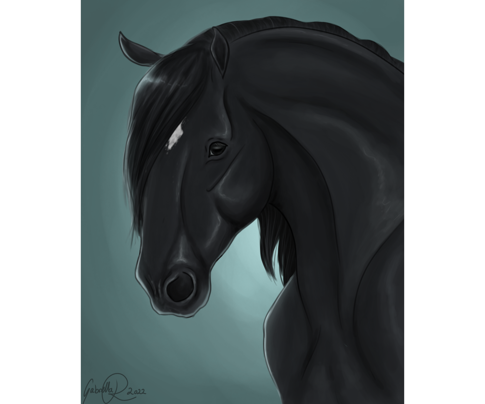 Grilo – från matt och omusklad till en glänsande dressyrhäst