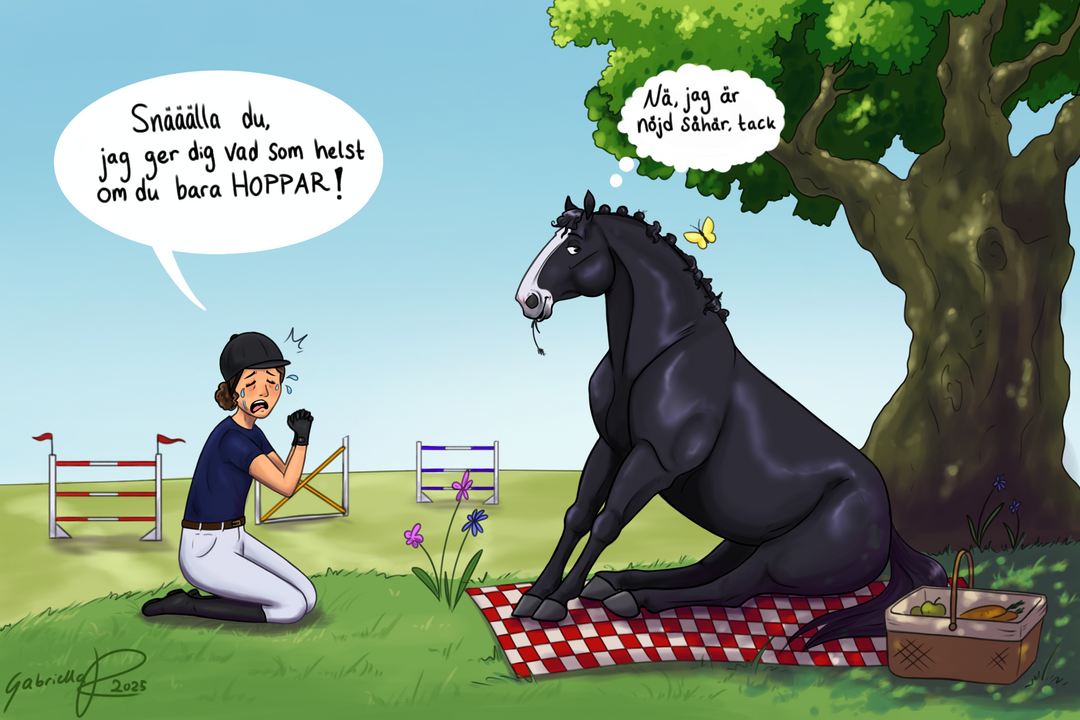 Att köpa häst del 1 - Vilken häst passar dig?